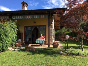 Falecchio home